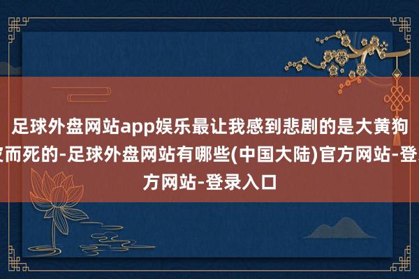 足球外盘网站app娱乐最让我感到悲剧的是大黄狗是剥皮而死的-足球外盘网站有哪些(中国大陆)官方网站-登录入口