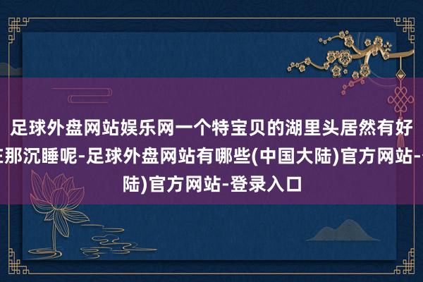 足球外盘网站娱乐网一个特宝贝的湖里头居然有好多尸骨在那沉睡呢-足球外盘网站有哪些(中国大陆)官方网站-登录入口