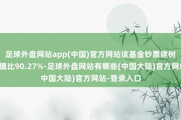 足球外盘网站app(中国)官方网站该基金钞票建树：股票占净值比90.27%-足球外盘网站有哪些(中国大陆)官方网站-登录入口