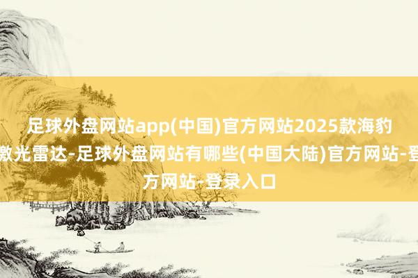 足球外盘网站app(中国)官方网站2025款海豹可选配激光雷达-足球外盘网站有哪些(中国大陆)官方网站-登录入口