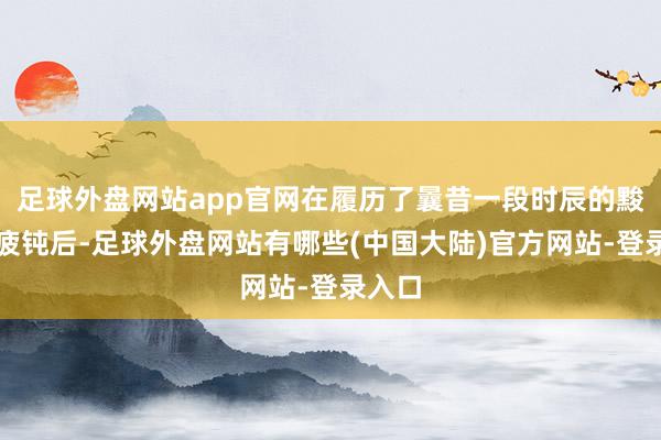 足球外盘网站app官网在履历了曩昔一段时辰的黢黑与疲钝后-足球外盘网站有哪些(中国大陆)官方网站-登录入口