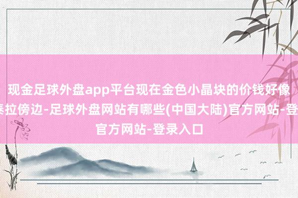 现金足球外盘app平台现在金色小晶块的价钱好像在13泰拉傍边-足球外盘网站有哪些(中国大陆)官方网站-登录入口