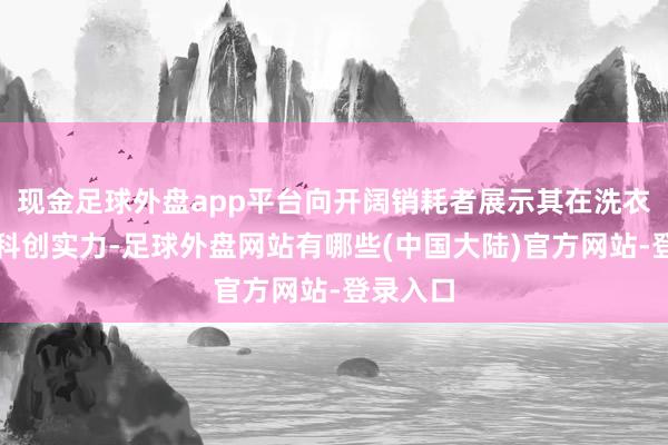 现金足球外盘app平台向开阔销耗者展示其在洗衣边界的科创实力-足球外盘网站有哪些(中国大陆)官方网站-登录入口