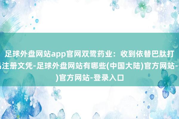 足球外盘网站app官网双鹭药业：收到依替巴肽打针液药品注册文凭-足球外盘网站有哪些(中国大陆)官方网站-登录入口