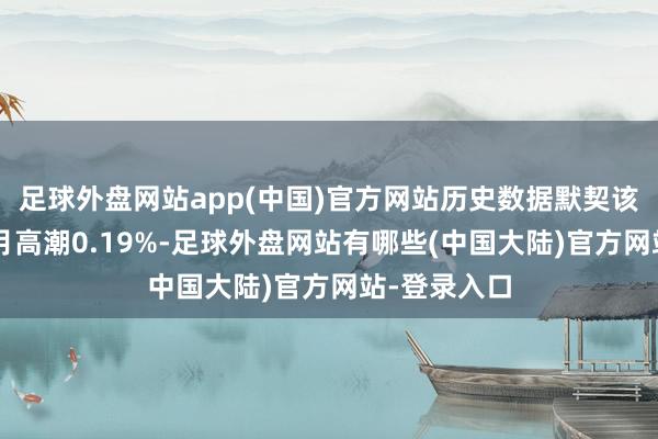 足球外盘网站app(中国)官方网站历史数据默契该基金近1个月高潮0.19%-足球外盘网站有哪些(中国大陆)官方网站-登录入口