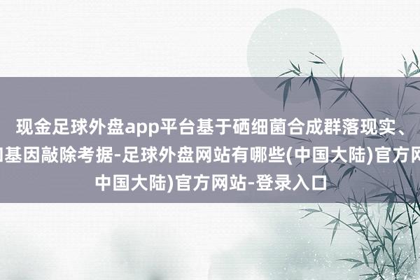 现金足球外盘app平台基于硒细菌合成群落现实、多组学分析和基因敲除考据-足球外盘网站有哪些(中国大陆)官方网站-登录入口